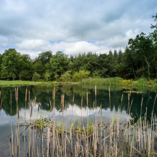 Carnell Estate Lake