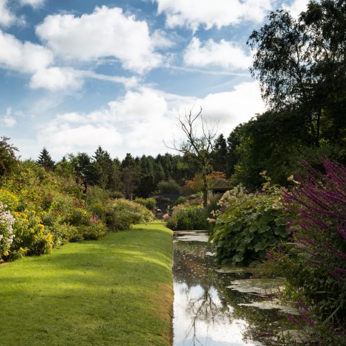 Carnell Estate River